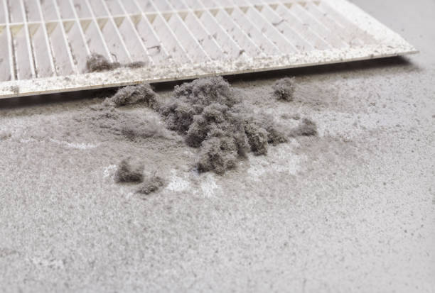 Best Air Vent Cleaning Services  in South Gull Lake, MI