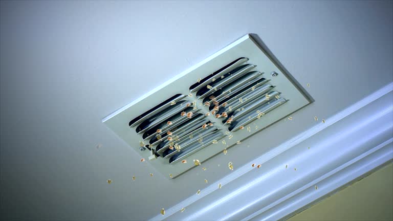  South Gull Lake, MI Airduct Cleaning Pros