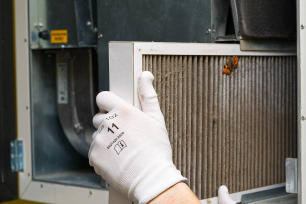 Best Affordable HVAC Duct Cleaning  in South Gull Lake, MI