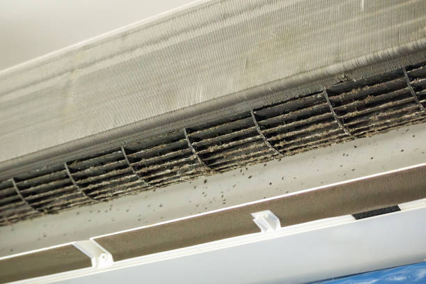 Best Air Duct Cleaning Near Me  in South Gull Lake, MI