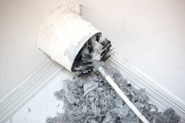 Best Dryer Vent Cleaning Services  in South Gull Lake, MI
