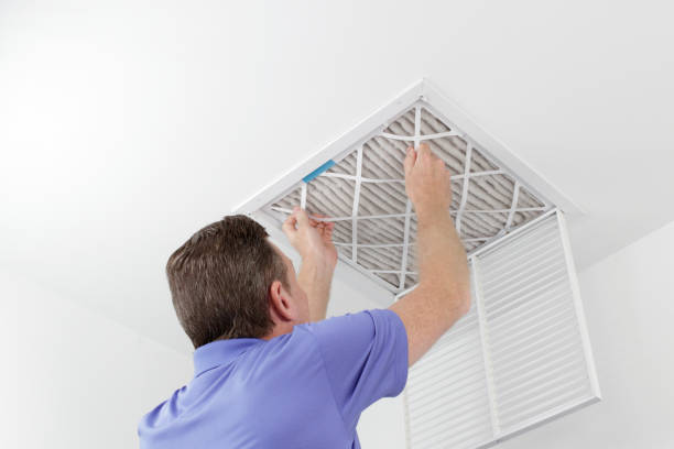 Best Local Air Duct Cleaning Services  in South Gull Lake, MI